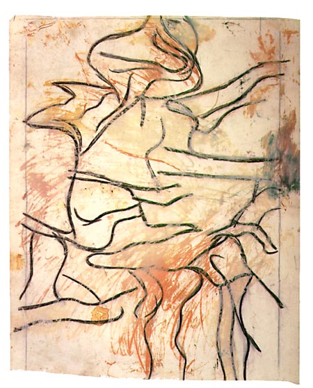 tracing on vellum